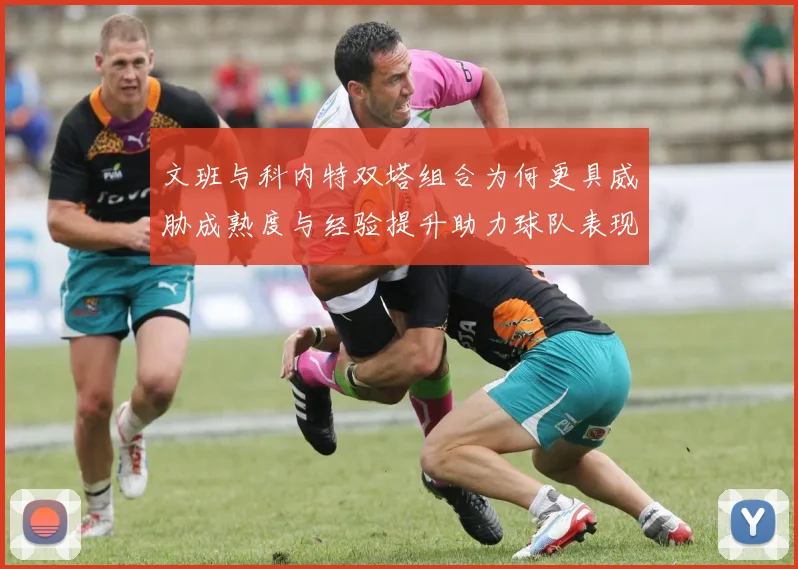 文班与科内特双塔组合为何更具威胁成熟度与经验提升助力球队表现